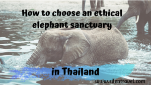 how to choose an ethical elephant sanctuary