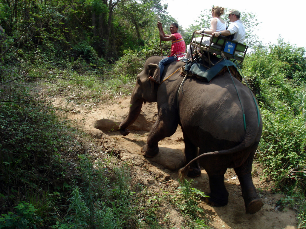 How To Choose An Ethical Elephant Sanctuary In Thailand - Wildly Sonia