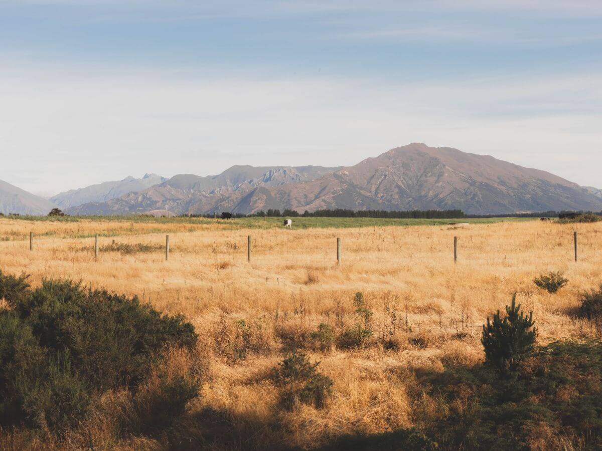 View from our campground in new zealand south island